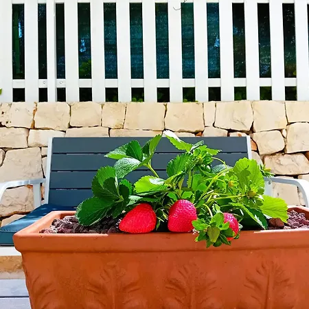Pietra Di Puglia Casa de hóspedes