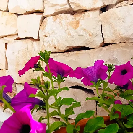 Гостевой дом Pietra Di Puglia Монополи