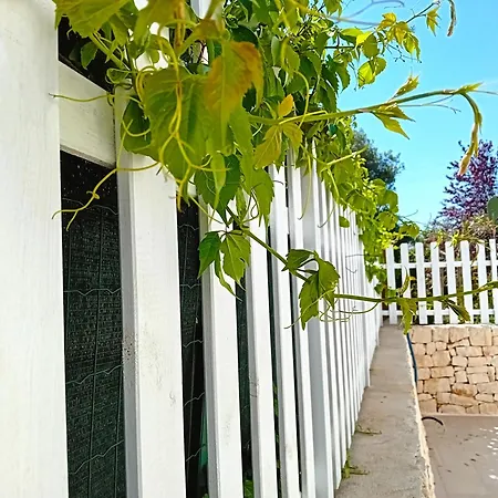 Pietra Di Puglia *